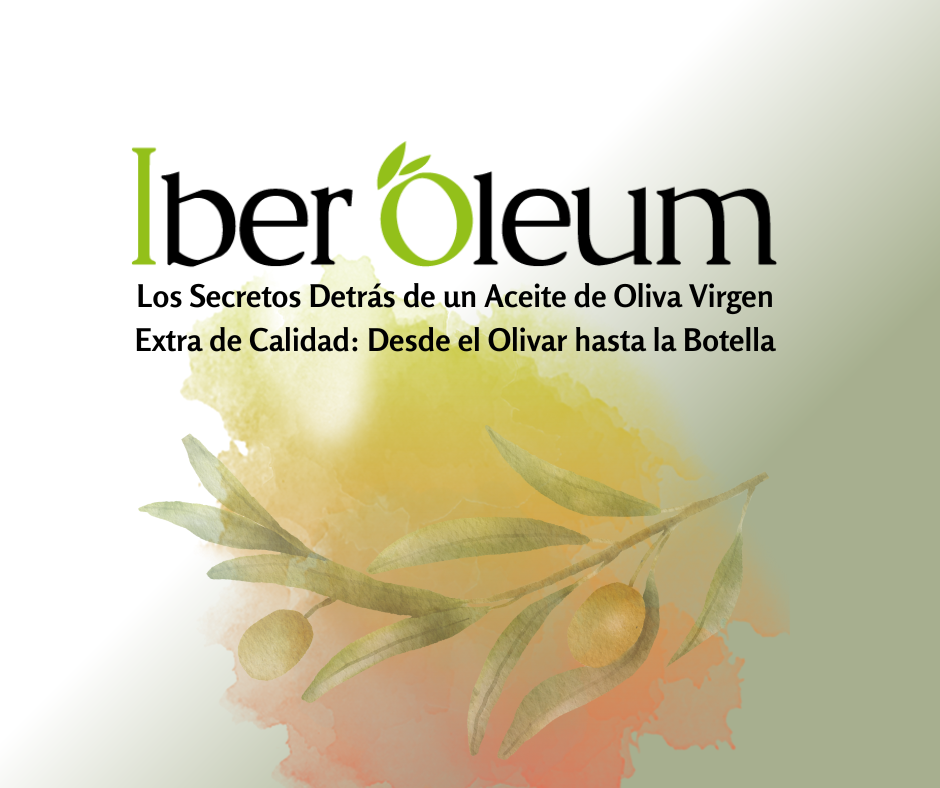 Entrega de premios IberOleum 2025